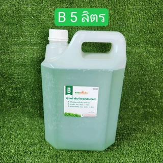 ปุ๋ยน้ำ AB ไฮโดรโปนิกส์ ปุ๋ยน้ำ ผักสลัด สูตรเข้มข้น(1:100) ขนาด 5 ลิตร(A5L+B5L) **ฟรีไซริงค์ Nipro1อัน**
