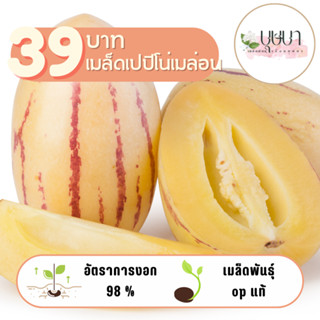 เมล็ดเปปิโน่เมล่อน 39บาท 50เมล็ด