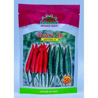 พริกอัมพวา 36 เมล็ดพริกลูกผสม ตราตะวันต้นกล้า เก็บไว ดก ยาว …