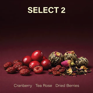 เมล็ดกาแฟ SELECT 2 Modern Espresso Blend (Medium Roast)