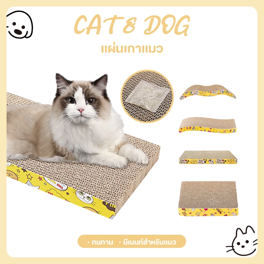 【CAT&DOG】แมวจับ, แมวกระดาษ, รังแมว ลูกแมวเกาบอร์ดกระดาษลูกฟูกความหนาแน่นสูง