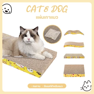 【CAT&DOG】แมวจับ, แมวกระดาษ, รังแมว ลูกแมวเกาบอร์ดกระดาษลูกฟูกความหนาแน่นสูง