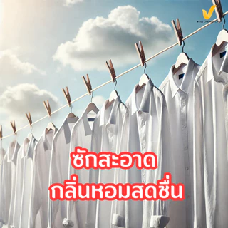 ชุดทำน้ำยาซักผ้าจัมโบ้สูตรเข้มข้น 20.14 ลิตร | ผสมง่าย ฟองเยอะ ซักสะอาด หอมติดผ้าลิตรละ 11 บาท สูตรนี้ประหยัดมากvitachem
