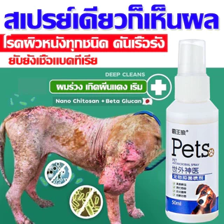 สเปรย์นาโน สเปรย์บรรเทาโรคผิวหนัง ไล่ ป้องกันเห็บหมัด ขี้เรื้อนสุนัข แมว เชื้อรา ยีสต์ คันเกา 50ml สัตว์เลี้ยงทุกชนิด
