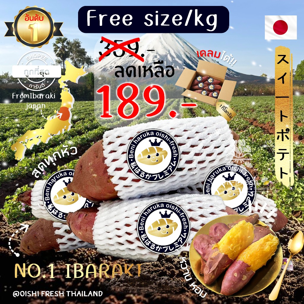 ‼️ใหม่คุ้มกว่า‼️แท้จากญี่ปุ่น️มันหวานญี่ปุ่น Oishi fresh เบนิฮารุกะ คละไซส์ 1 กก. หวาน หอม เนื้อเหลื