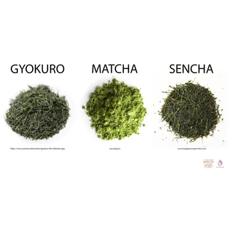 มัทฉะเกรดพิธีการUjinotsuyu Matcha Mutsucha Hagoromo #1250 Premium Made in Japan 100% อูจิโนะซึยุ ขนาดพกพา 20G