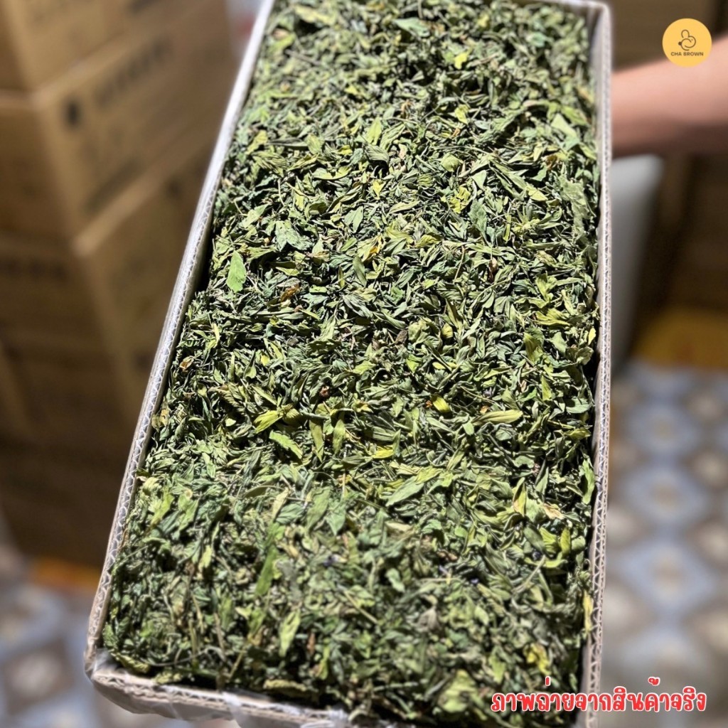 หญ้ากระต่าย หญ้าอัลฟาฟ่าอบลมร้อน Super Premium Alfalfa Grass ขนาด 1Kg.(กล่องน้ำตาล) ใบล้วน - รูปที่ 2