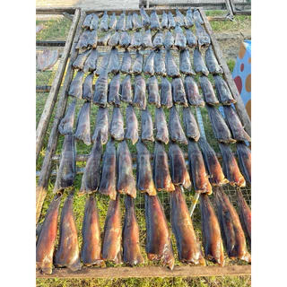 ปลาดุกร้า สินค้าOTOP ของดีพัทลุง แพ็คละ2-3ตัว คัดสรรคุณภาพ