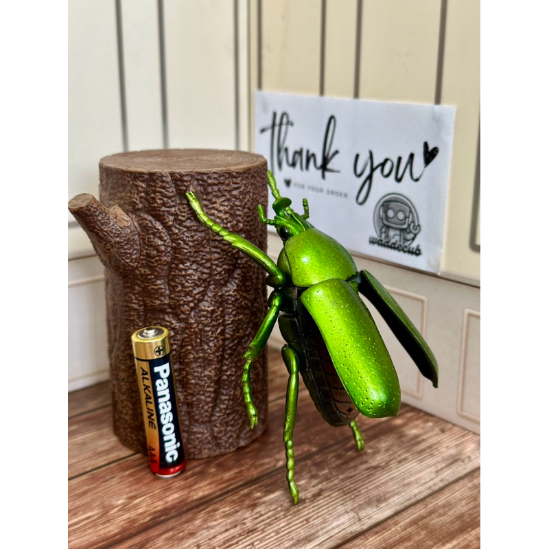 🪲[สินค้าพร้อมส่ง] 4D Puzzle ด้วงแมงทับ ลิขสิทธิ์แท้ ของครบสภาพดีมาก