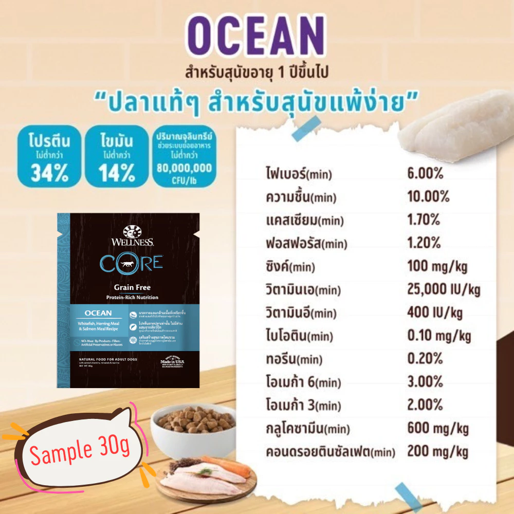 WELLNESS CORE [สินค้าตัวอย่าง] อาหารสุนัข มีให้เลือกหลายสูตรทุกช่วงวัย (สุนัขเด็ก - สุนัขโต) thumbnail 4