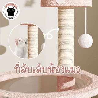 🌵 หลุมอวกาศแมว เห็ดชมพู ที่นอนแมว แคปซูลอวกาศสบาย ขนาดใหญ่​ คอนโดแมว อ่างแมว หลุมแมว คอนโดรูปเห็ด 🌵