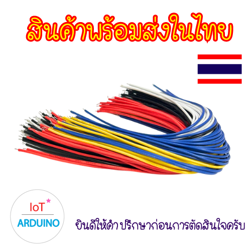 ลวดเคลือบดีบุก ปลายคู่ ขนาด 20CM ชุด 5 สี สีละ 20 เส้น สินค้าพร้อมส่ง!!!