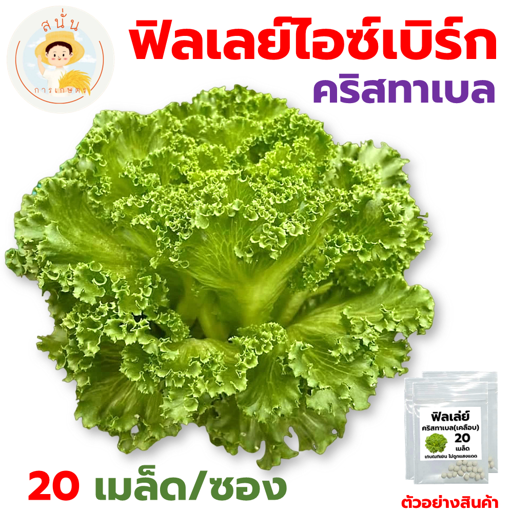 เมล็ดพันธุ์ ฟิลเลย์ คริสทาเบล (Frillice Cristabel) เมล็ดเคลือบ นำเข้าตรงสายพันธุ์ (1 ซอง 20 เมล็ด)
