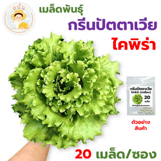 เมล็ดพันธุ์ กรีนปัตตาเวีย ไคพิร่า (Batavia Caipira) เมล็ดเคล…