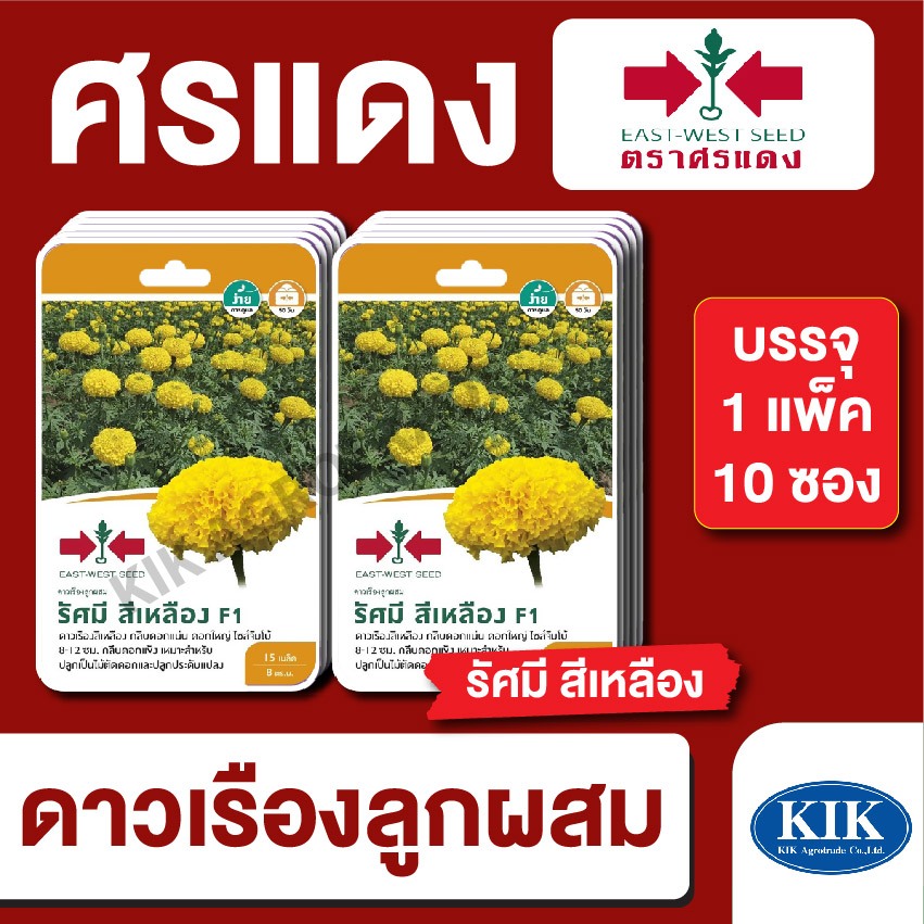 เมล็ดพันธุ์ ผักซอง ศรแดง ดาวเรืองรัศมี สีเหลืองGG F1 บรรจุแพ็คละ 10 ซอง
