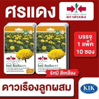 เมล็ดพันธุ์ ผักซอง ศรแดง ดาวเรืองรัศมี สีเหลืองGG F1 บรรจุแพ…