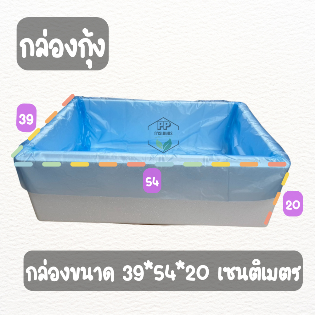 รูปภาพ 5