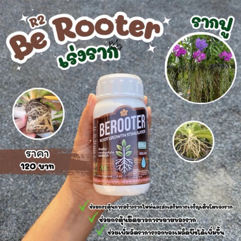 Be Rooter เร่งรากและบำรุงรากให้งอกไวแข็งแรง รากฝอยเยอะ
