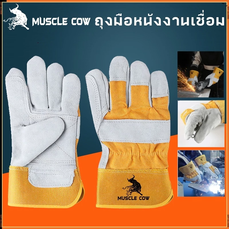MUSCLE COW ถุงมือหนังงานเชื่อม 10.5" และ13" ทำจากหนังวัวชั้นที่ 2 ทั้งชิ้น เบาและสามารถระบายอากาศได้ดี ถุงมือเชื่อม