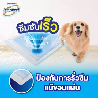 Unicharm Deosheet แผ่นรองซับปัสสาวะสุนัข ปริมาณ 48-20 แผ่น เดโอชีท ซึมซับดีเยี่ยม ไม่เลอะเท้าสุนัข