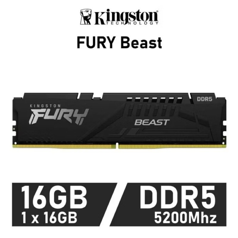 16GB (16GBx1) DDR5 5200MHz RAM (แรมพีซี) KINGSTON FURY BEAST (KF552C40BB-16)