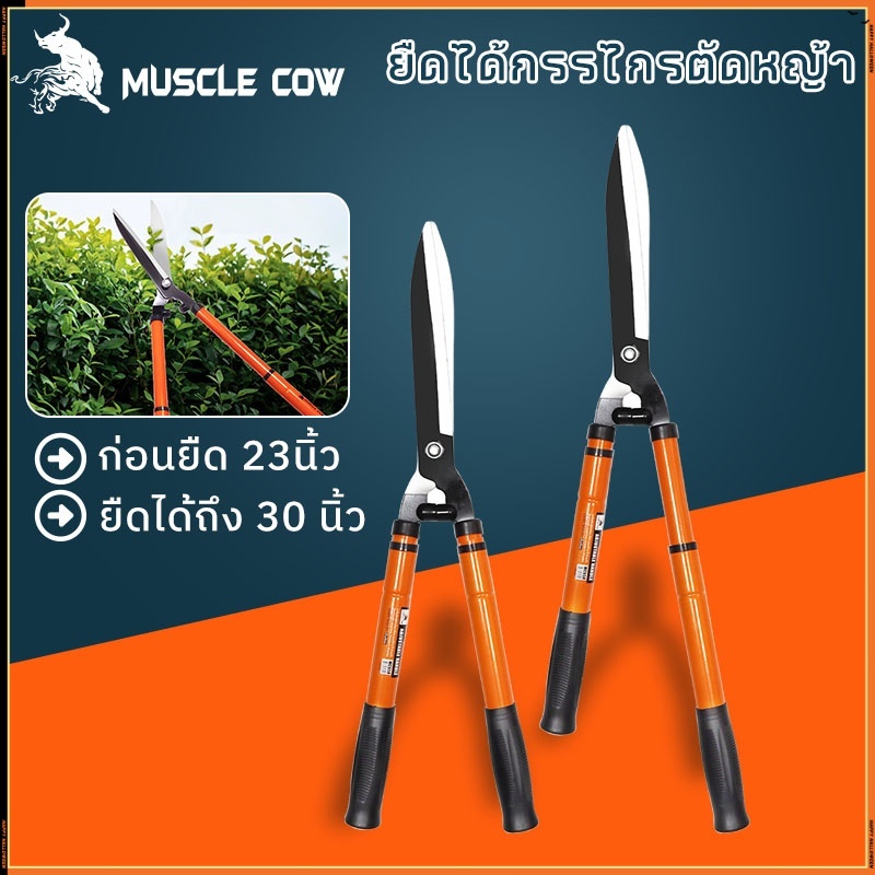 MUSCLE COW กรรไกรตัดหญ้า สามารถยืดได้หดได้ ด้ามเหล็กหุ้มพลาสติก เหมาะสำหรับตัดกิ่งที่สูง กรรไกรตัดกิ่ง กรรไกรตัดต้นไม้