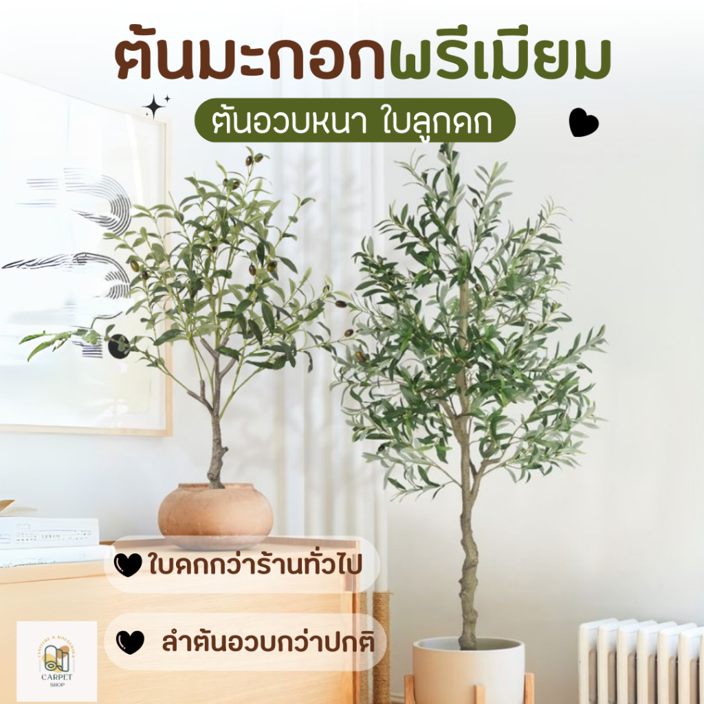 พร้อมส่ง ต้นโอลีฟ เกรดพรีเมี่ยม ลำต้นอวบหนา ใบแน่นฟู พร้อมลูกดก ต้นมะกอกปลอม ของแต่งบ้าน แต่งห้อง สินค้าตรงปก มีคุณภาพ!!