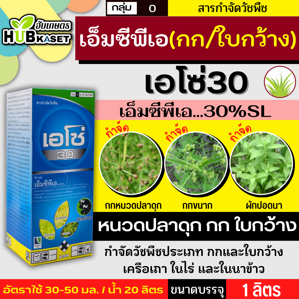 เอโซ่30 ฟ้า ขวดแก้ว 1ลิตร (เอ็มซีพีเอ) กำจัดวัชพืช ใบกว้างกก เก่งกกหนวดปลาดุก
