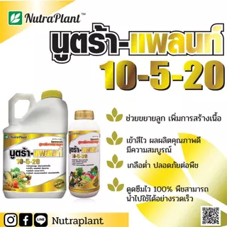 10-5-20 นูตร้าแพลนท์ ปุ๋ยน้ำสูตรพิเศษขยายลูก เพิ่มขนาด สร้างเปลือก สร้างเนื้อ ป้องกันลูกแตก