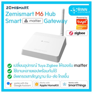Zemismart M6 Tuya Gateway Matter Zigbee Smart Home Bridge Homekit Google Alexa