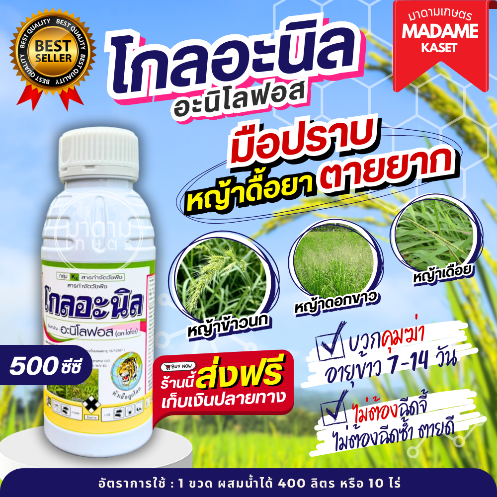 โกลอะนิล (อะนิโลฟอส) แก้ปัญหาหญ้าดื้อยาทุกชนิด 500 ซีซี