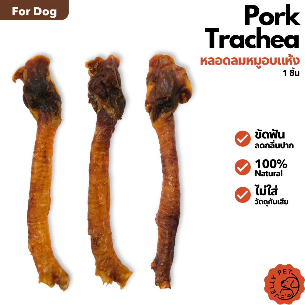 Jelly Pet Pork Trachea หลอดลมหมูอบแห้ง ขนมขัดฟัน ขนมสุนัขสุขภาพ ขนมหมาสุขภาพ ขนมแมวสุขภาพ