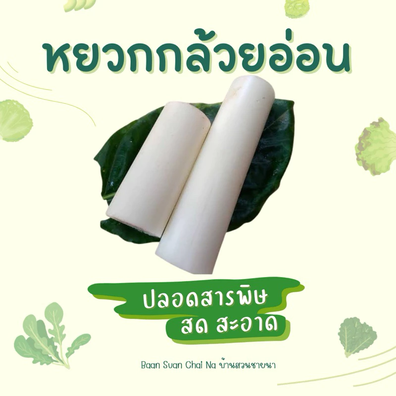 หยวกกล้วยอ่อน 1 กิโลกรัม สำหรับประกอบอาหาร - แกงหยวกกล้วย ผัดหยวกกล้วย