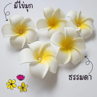 🔥พร้อมส่ง💥กิพติดผมดอกไม้ ดอกลีลาวดี น้ำหนักเบา