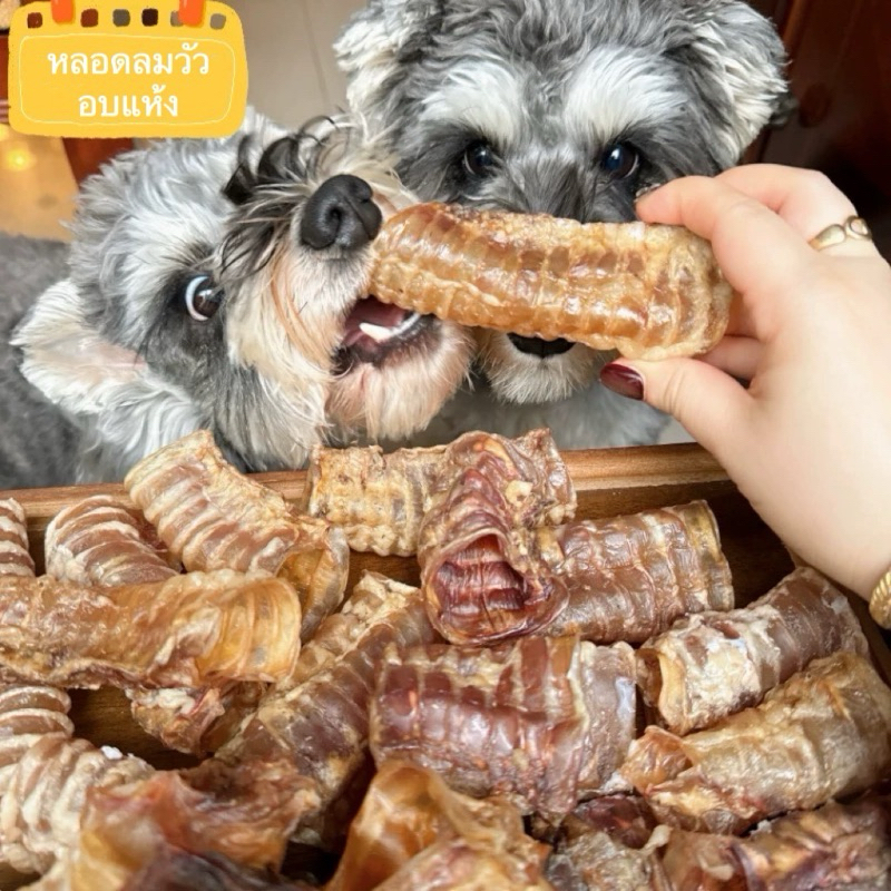 หลอดลมวัวอบแห้ง 10-15cm ขนมหมา ขนมขัดฟันสุนัข Dog Chew
