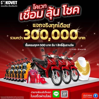 KOVET ลวดเชื่อมเหล็กหล่อ Ni55 (NS) แบบซอง 2 เส้น ขนาด 2.6 3.2 มิล