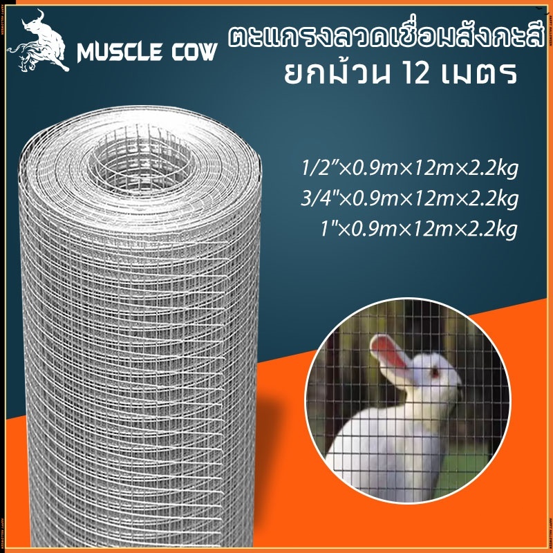 MUSCLE COW ลวดตาข่าย ชุบกัลวาไนซ์ ตาข่ายกรงไก่ ตาข่ายกรงนก ตะแกรงปูผนัง ตาข่ายลวด ลวดเหล็ก รั้วตาข่าย กันงู กันหนู ดักสั