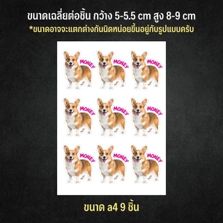 สติกเกอร์ไดคัทรูปสัตว์เลี้ยงของคุณ ระบุชื่อ,ข้อความได้ ติดได้ทุกที่ สีสวย กันน้ำ ซื้อ 3 ฟรี 1 แผ่น