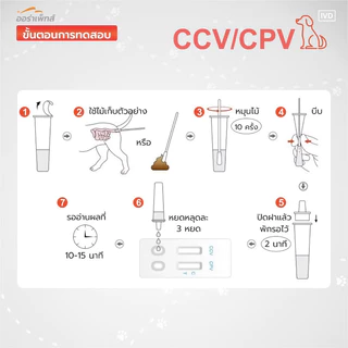 Aurapets (ออร่าเพ็ท) ชุดตรวจหาโรคทางเดินอาหาร Canine Corona Virus/Parvo Virus (CCV/CPV)