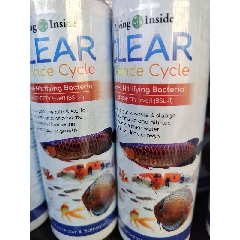 จุลินทรีย์ แบคทีเรีย บ่อปลา ตู้ปลา น้ำใส ลดตะไคร่ ย่อยของเสีย ลดกลิ่น Living Inside