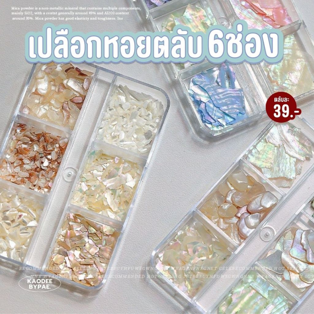 เซ็ตเปลือกหอย ตกแต่งเล็บ 12 สี อุปกรณ์ทำเล็บ