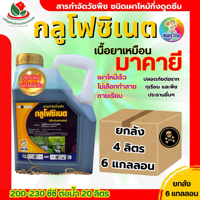 (ยกลัง x 6 กล.)นูปโปรครอป 4 ลิตร กลูโฟซิเนต น้ำเขียว ใช้แทนน้ำเขียวในตำนาน เผาไหม้กึ่งดูดซึม ไม่ทำลา