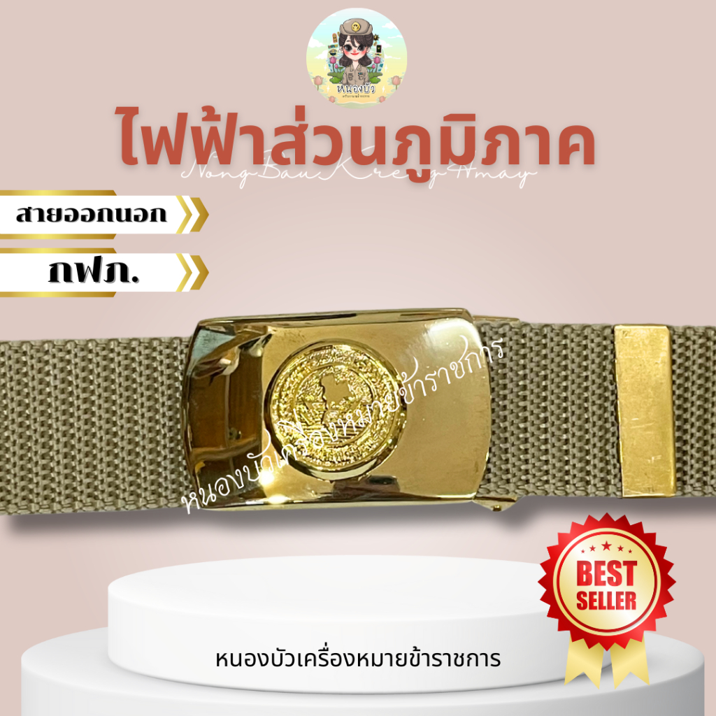 เข็มขัดไฟฟ้า เข็มขัดไฟฟ้าส่วนภูมิภาค รูปที่ 3