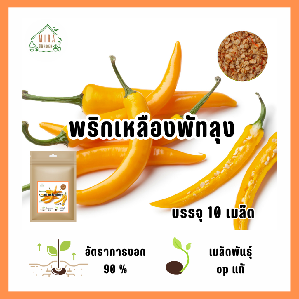 เมล็ดพันธุ์พริกเหลืองพัทลุง 10 เมล็ด