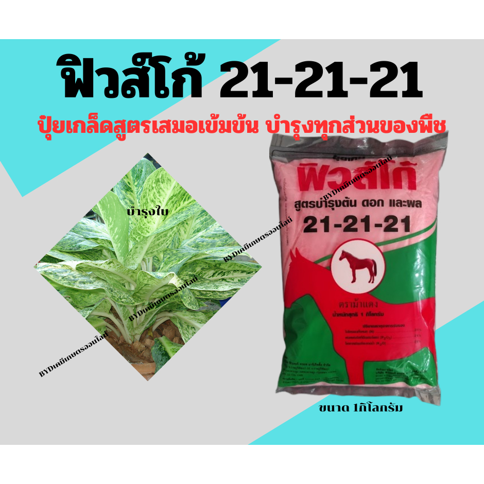ปุ๋ยเกล็ดฟิวส์โก้ สูตร21-21-21 ตราม้าแดง ปุ๋ยเกล็ดสูตรเสมอ เสริมความสมบูรณ์ให้พืชในทุกสัดส่วน ละลายดี ไม่มีตะกอน