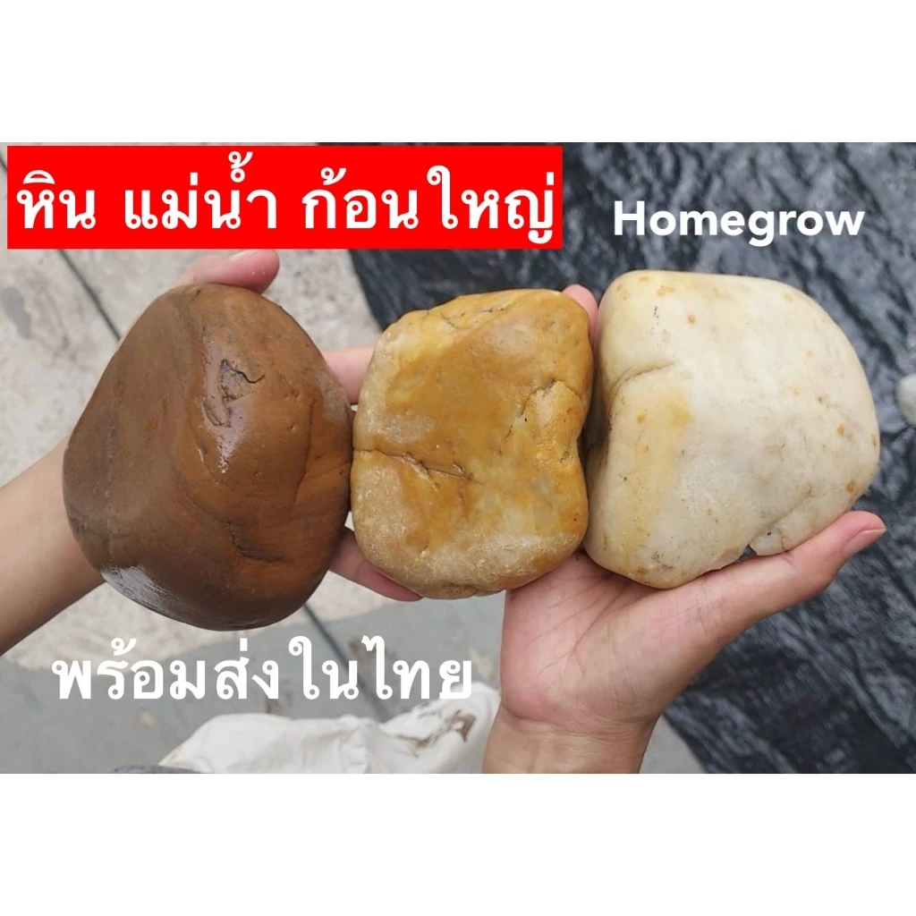 หินก้อนใหญ่ หินแม่น้ำขนาดใหญ่ แต่ตู้ปลา ลำธาร ศิลปะ พร้อมส่ง