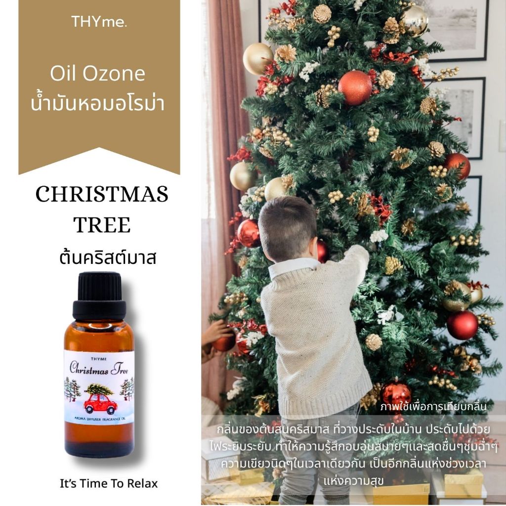 🎄 CHRISTMAS TREE – กลิ่นแห่งเทศกาลคริสต์มาสสุดอบอุ่น 🎁✨  THYme.