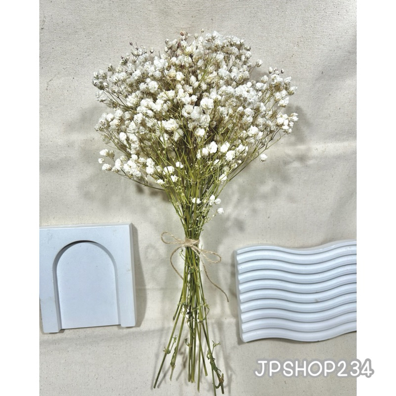 Gypsophila ยิปโซแห้ง ดอกไม้แห้ง ดอกยิปโซตากแห้งกำใหญ่ดอกฟู (F2) ราคา ถูกที่สุด ดีลบีเคเค แกลเลอรีภาพที่ 2