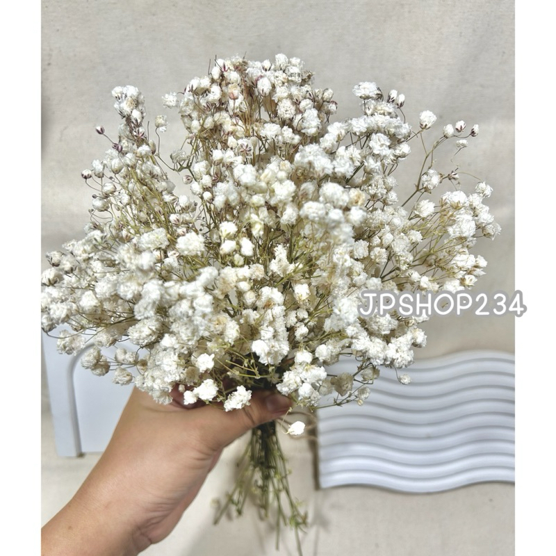 Gypsophila ยิปโซแห้ง ดอกไม้แห้ง ดอกยิปโซตากแห้งกำใหญ่ดอกฟู (F2) ราคา ถูกที่สุด ดีลบีเคเค แกลเลอรีภาพที่ 6