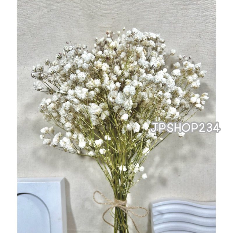 Gypsophila ยิปโซแห้ง ดอกไม้แห้ง ดอกยิปโซตากแห้งกำใหญ่ดอกฟู (F2) ราคา ถูกที่สุด ดีลบีเคเค แกลเลอรีภาพที่ 8